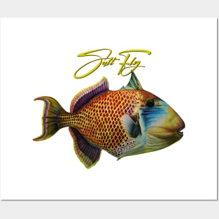 Trigger Fish Posters and Art